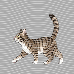 Animal Text Series-AT 3510